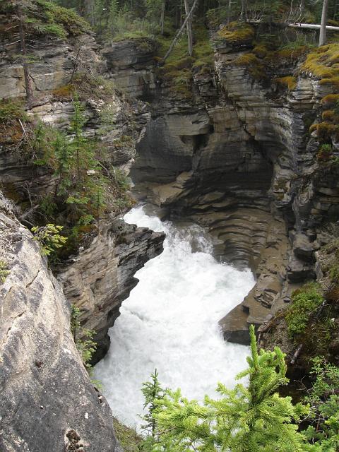 Canadian Rockies-289.JPG - Below Athabasca Falls